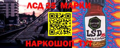 гидропоника Пушкино